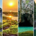 Natural hair transplant turkey